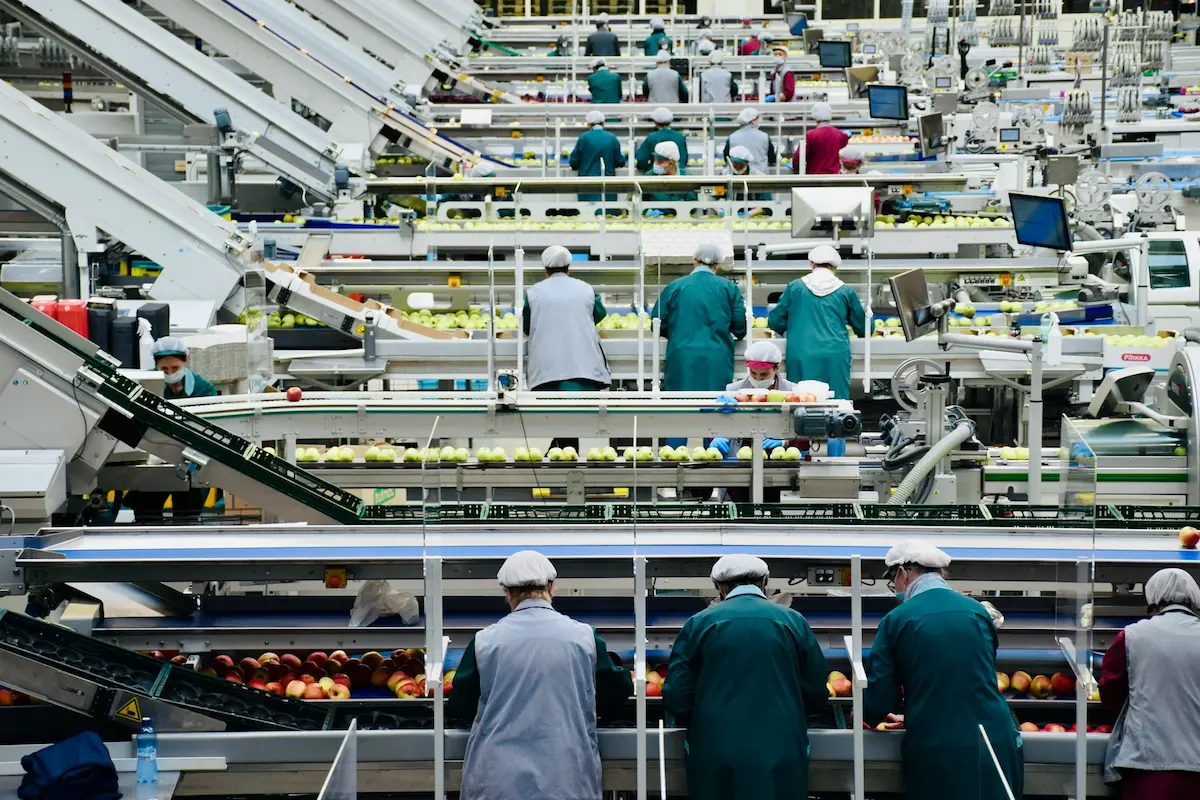 ¿Qué es la gestión de producción? - Sepiia Blog